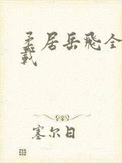 柔居岳飞全传下载