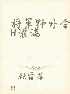 将军野外含公主H灌满