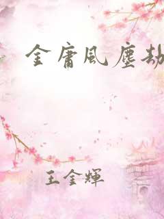 金庸风尘劫