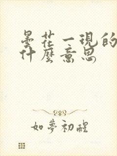 昙花一现的现是什么意思