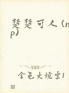 楚楚可人 (np)