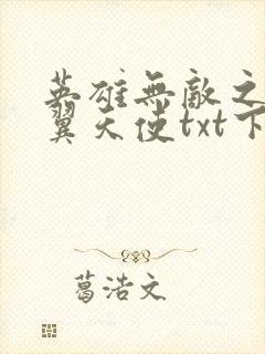 英雄无敌之十二翼天使txt下载