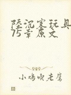 陆沉塞玩具高速75章原文