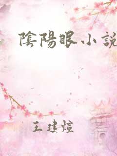 阴阳眼小说