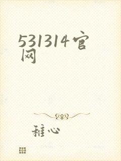 531314官网
