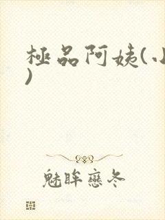 极品阿姨(小说)