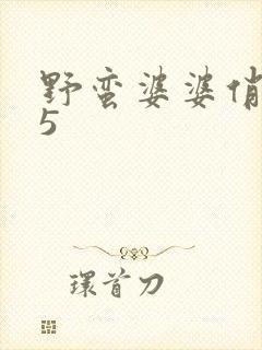 野蛮婆婆俏媳妇5