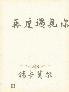再度遇见你