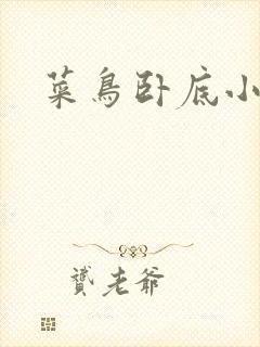 菜鸟卧底小正太