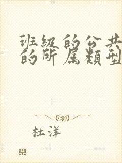 班级的公共小0的所属类型