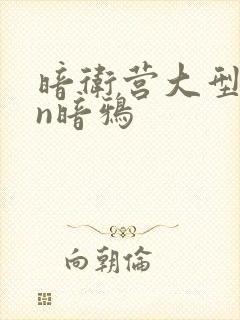 暗卫营大型hpn暗鸦