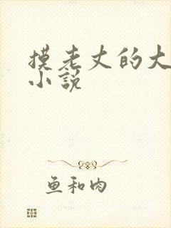 摸老丈的大牛子小说