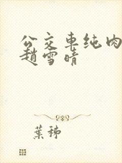 公交车纯肉超H赵雪晴