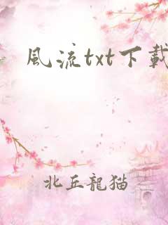 风流txt下载