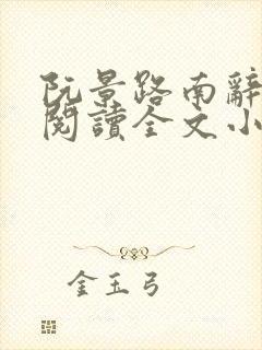 阮景路南辞免费阅读全文小说