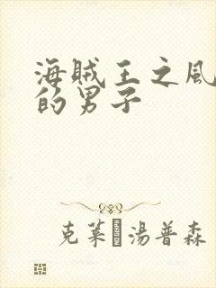 海贼王之风一样的男子