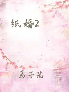 纸婚2