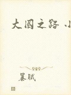 大国之路 小说