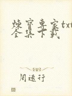 炼宝专家txt全集下载