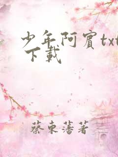 少年阿宾txt 下载