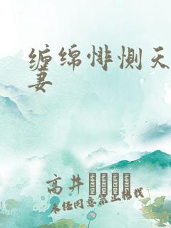 缠绵悱恻天价前妻