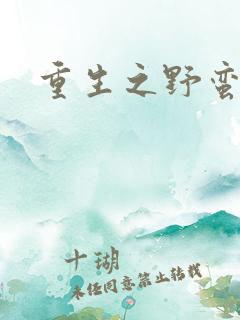 重生之野蛮盗贼