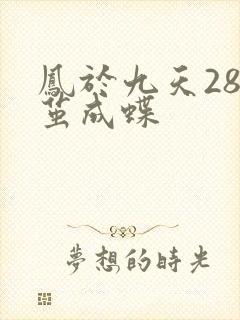 凤于九天28破茧成蝶