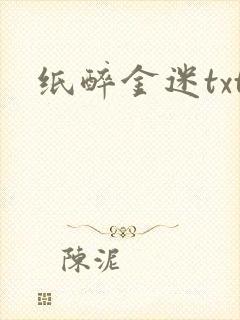 纸醉金迷txt