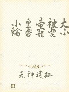 小皇帝被大臣们轮番宠爱小说