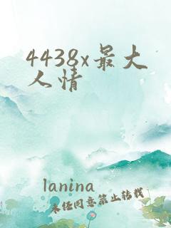 4438x最大人情