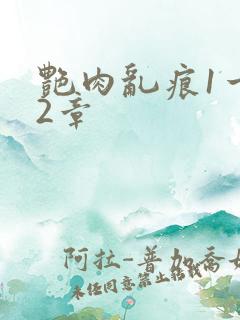 艳肉乱痕1一12章