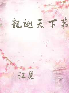 龙巡天下第四部