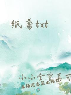 纸鸢txt