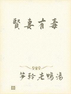 贤妻有毒