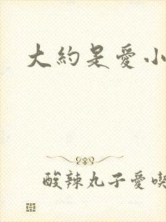 大约是爱小说
