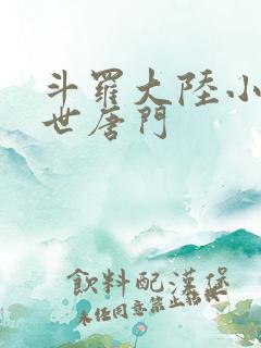 斗罗大陆小说绝世唐门