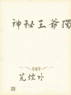 神秘王爷独宠妃