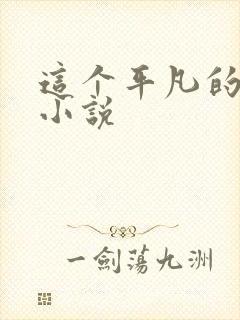 这个平凡的男子小说