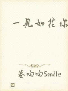 一见如花你就笑