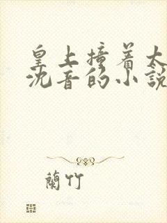 皇上撞着太子妃沈音的小说叫什么