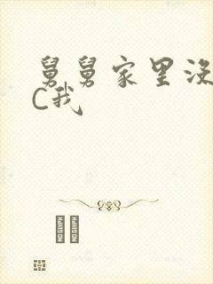 舅舅家里没人快C我