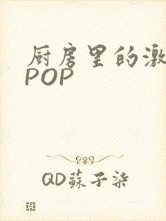 厨房里的激战2POP