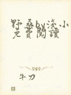 野桑by浅小说免费阅读