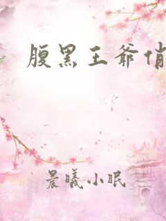 腹黑王爷俏医妃