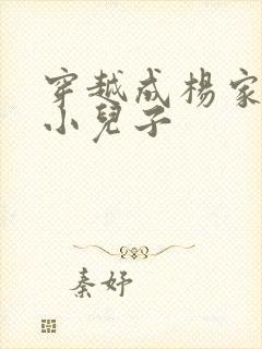 穿越成杨家将最小儿子