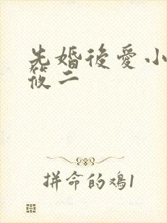 先婚后爱小说梦筱二