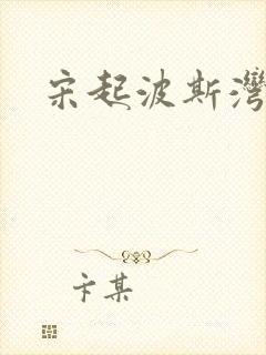 宋起波斯湾
