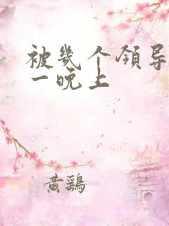 被几个领导玩弄一晚上