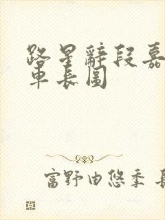 路星辞段嘉衍肉车长图