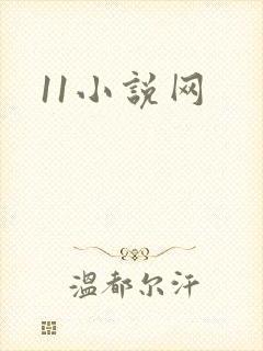 11小说网